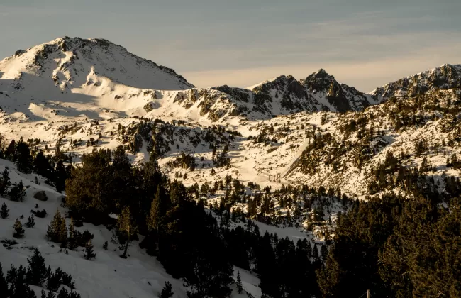 Snow-covered mountains and pine forests in the Pyrenees, typical of Andorra's winter landscape.