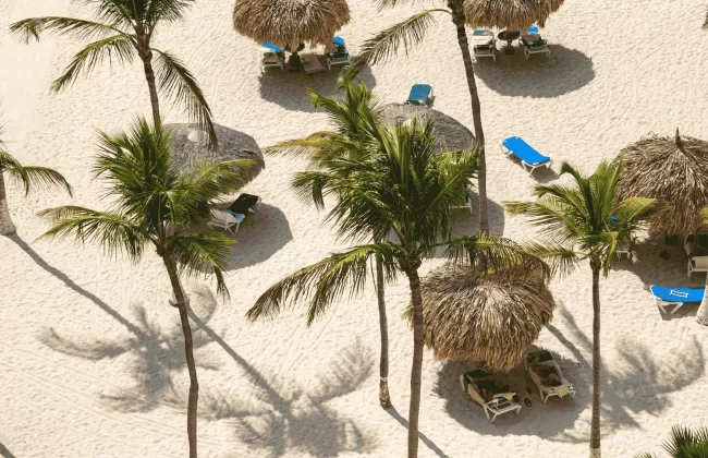Overhead view of a tropical beach with palm trees, sun loungers, and straw umbrellas on white sand.