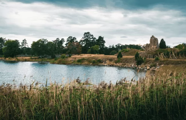 Calm lakeside scene with reeds, rocks, and a few scattered houses.