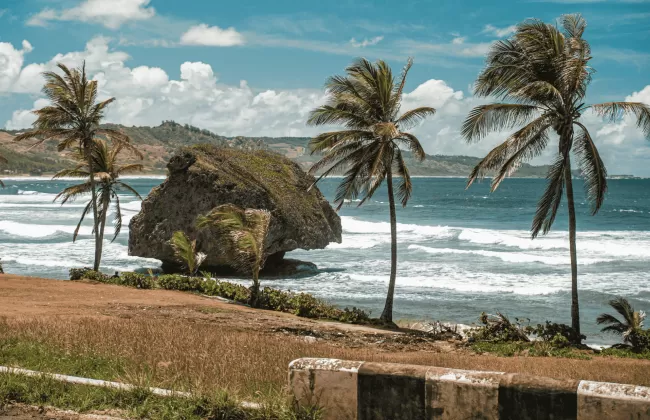 Windy coastal scene with large boulders, crashing waves, and palm trees on the shore.