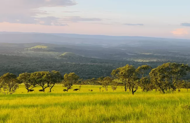 cenic landscape of rolling hills and green savanna under a pastel sky in Burundi.
