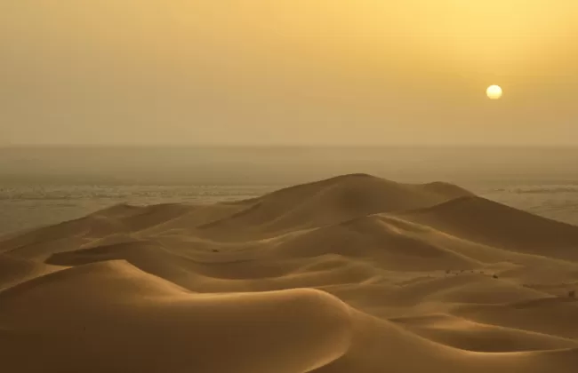Expansive golden desert dunes under a hazy sunset sky in the Sahara.