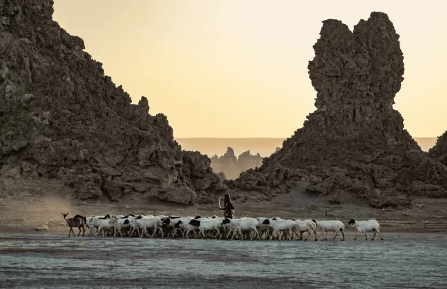 A rocky coastline with two large jagged rock formations at sunset.