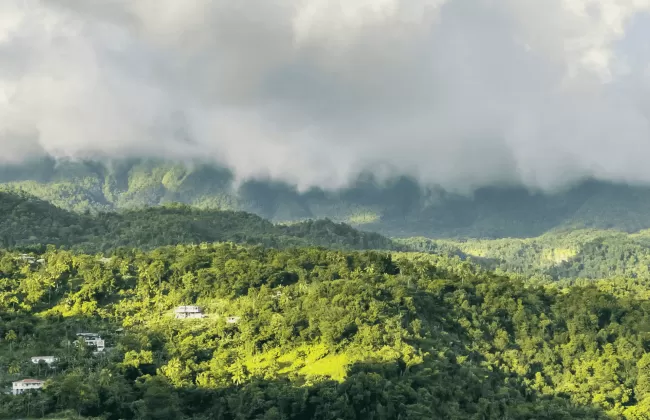 A lush green valley with rolling hills and dramatic cloud-covered mountains.