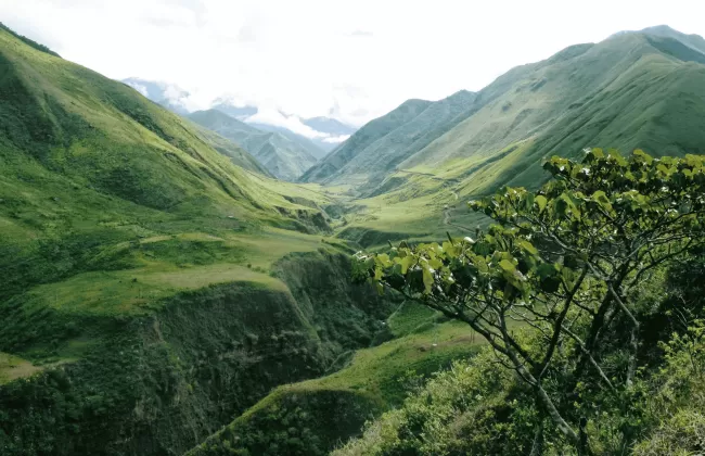 Verdant mountains with deep valleys covered in greenery.
