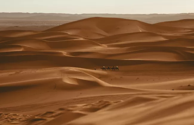 Vast red sand dunes with a small caravan of camels.