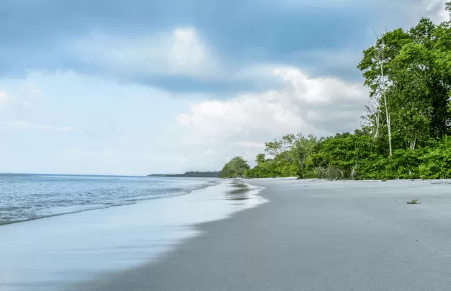 A wide sandy beach with gentle waves and lush greenery at the edge.