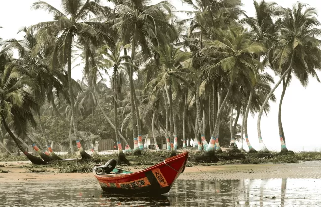 A row of palm trees with a small red fishing boat on the sandy beach.