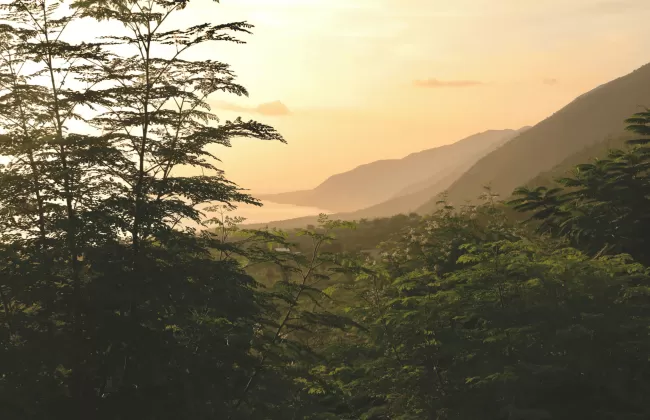 Lush green hills at sunset with soft orange light.