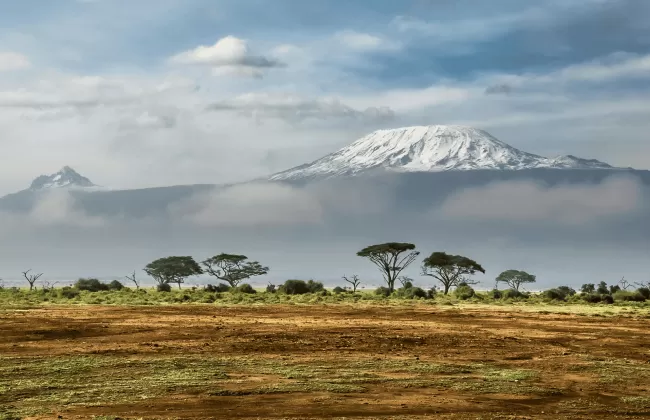 A savannah landscape in Kenya with acacia trees under a blue sky.