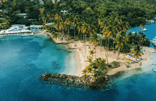 Palm trees and houses along a small peninsula surrounded by sea.