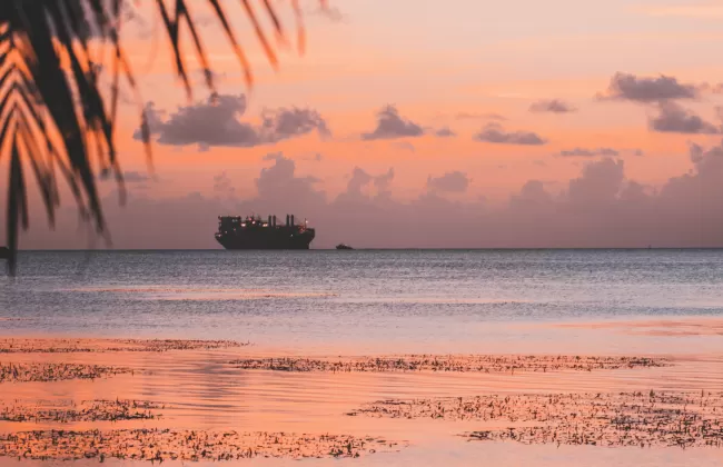 A calm tropical sea at sunset with palm trees and a ship in the distance.