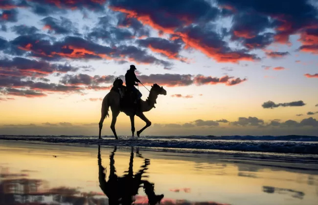 Silhouette of a person riding a camel at sunset with dramatic clouds.