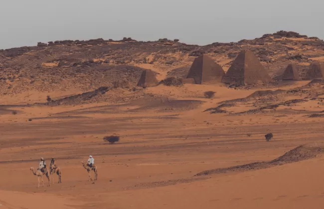 Camels walking across a vast red desert landscape.