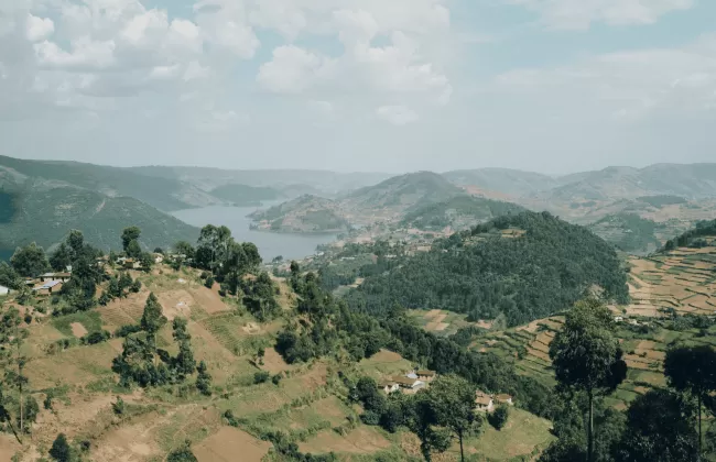 Rolling green hills with scattered farmland and trees.