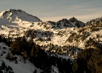 Snow-covered mountains and pine forests in the Pyrenees, typical of Andorra's winter landscape.