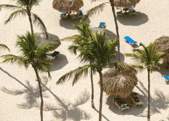 Overhead view of a tropical beach with palm trees, sun loungers, and straw umbrellas on white sand.