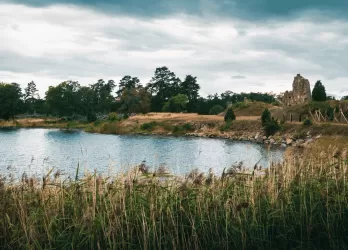 Calm lakeside scene with reeds, rocks, and a few scattered houses.