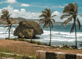 Windy coastal scene with large boulders, crashing waves, and palm trees on the shore.