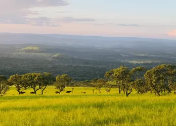 cenic landscape of rolling hills and green savanna under a pastel sky in Burundi.