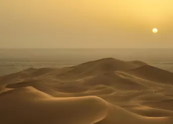 Expansive golden desert dunes under a hazy sunset sky in the Sahara.