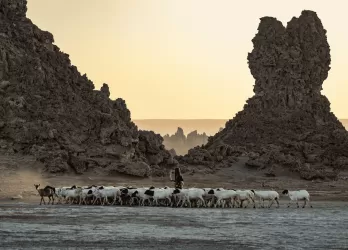 A rocky coastline with two large jagged rock formations at sunset.