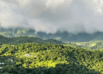 A lush green valley with rolling hills and dramatic cloud-covered mountains.