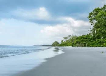 A wide sandy beach with gentle waves and lush greenery at the edge.