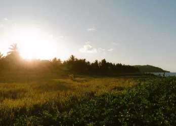 Open grassy fields with sunlight breaking through clouds.
