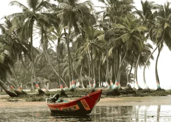 A row of palm trees with a small red fishing boat on the sandy beach.