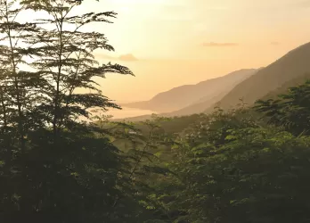 Lush green hills at sunset with soft orange light.