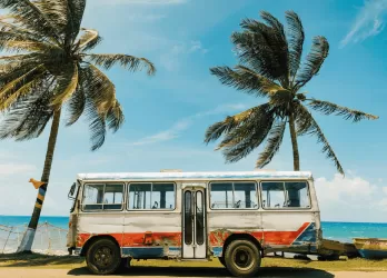A colorful bus parked under palm trees on a tropical beach in Jamaica.