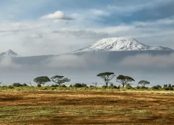 A savannah landscape in Kenya with acacia trees under a blue sky.