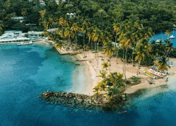 Palm trees and houses along a small peninsula surrounded by sea.