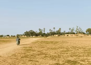 Dry, flat savannah landscape with sparse trees.
