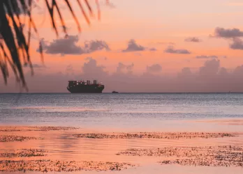 A calm tropical sea at sunset with palm trees and a ship in the distance.