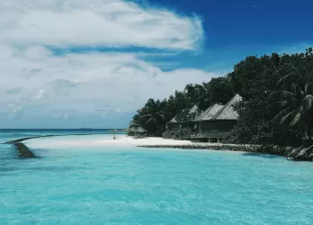 Tropical beach with turquoise water.