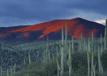 Red volcanic mountains with sparse vegetation.