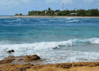 A tropical coastline with waves crashing against rocks and lush greenery in the background.