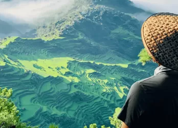 A person in a hat looking over lush green rice terraces and hills.