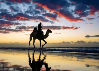 Silhouette of a person riding a camel at sunset with dramatic clouds.