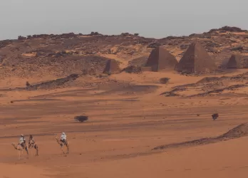 Camels walking across a vast red desert landscape.
