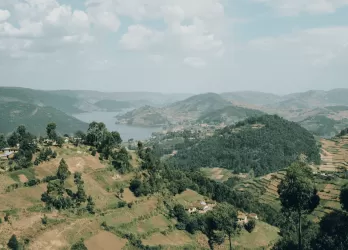 Rolling green hills with scattered farmland and trees.